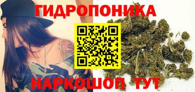 PSILOCYBIN Кунгур