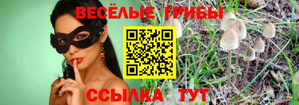 Донской  Галлюциногенные грибы прущие грибы  магазин  наркотиков  Вход с VPN  Псилоцибиновые грибы мицелий 